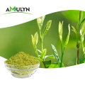 Premium Natural Matcha Green Tea Powder